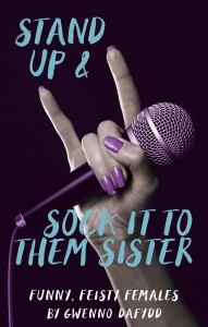 Stand Up & Sock it to them Sister cover
